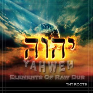 TNT Roots - Yahweh Elements Of Raw Dub